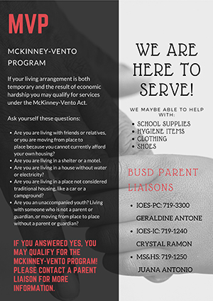 McKinney Vento Program Flyer