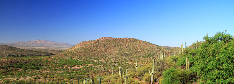 Dessert landscape with mountains in background