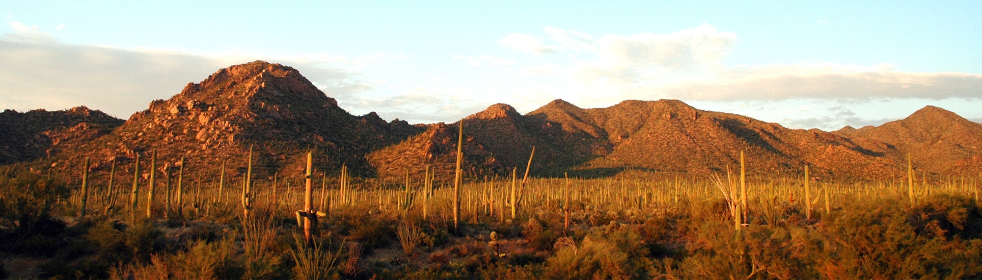 Arizona Mountains at Sunset